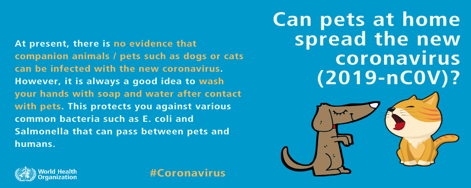 coronavirus info